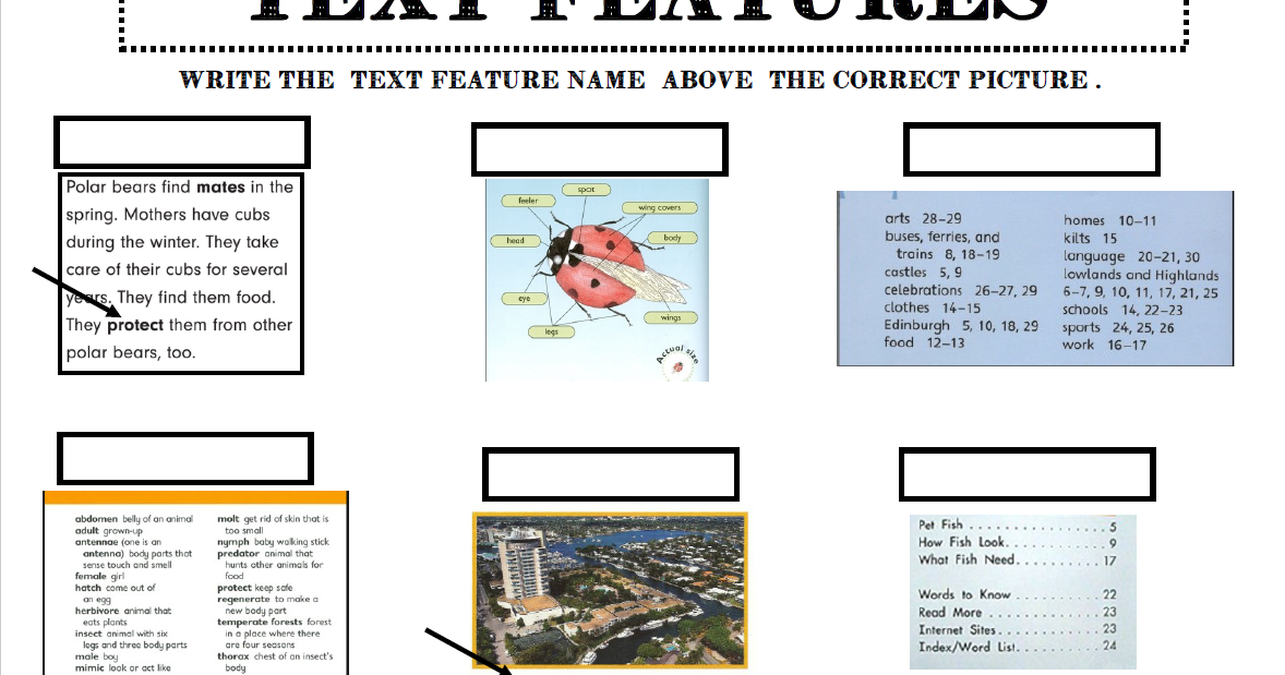 Jennifer's Teaching Tools: Nonfiction and Fiction Text Features