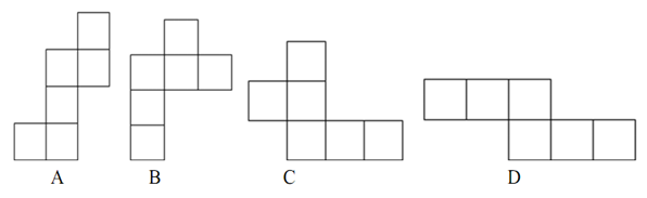 Soal Try Out Matematika Kelas 6 SD Dan Kunci Jawaban