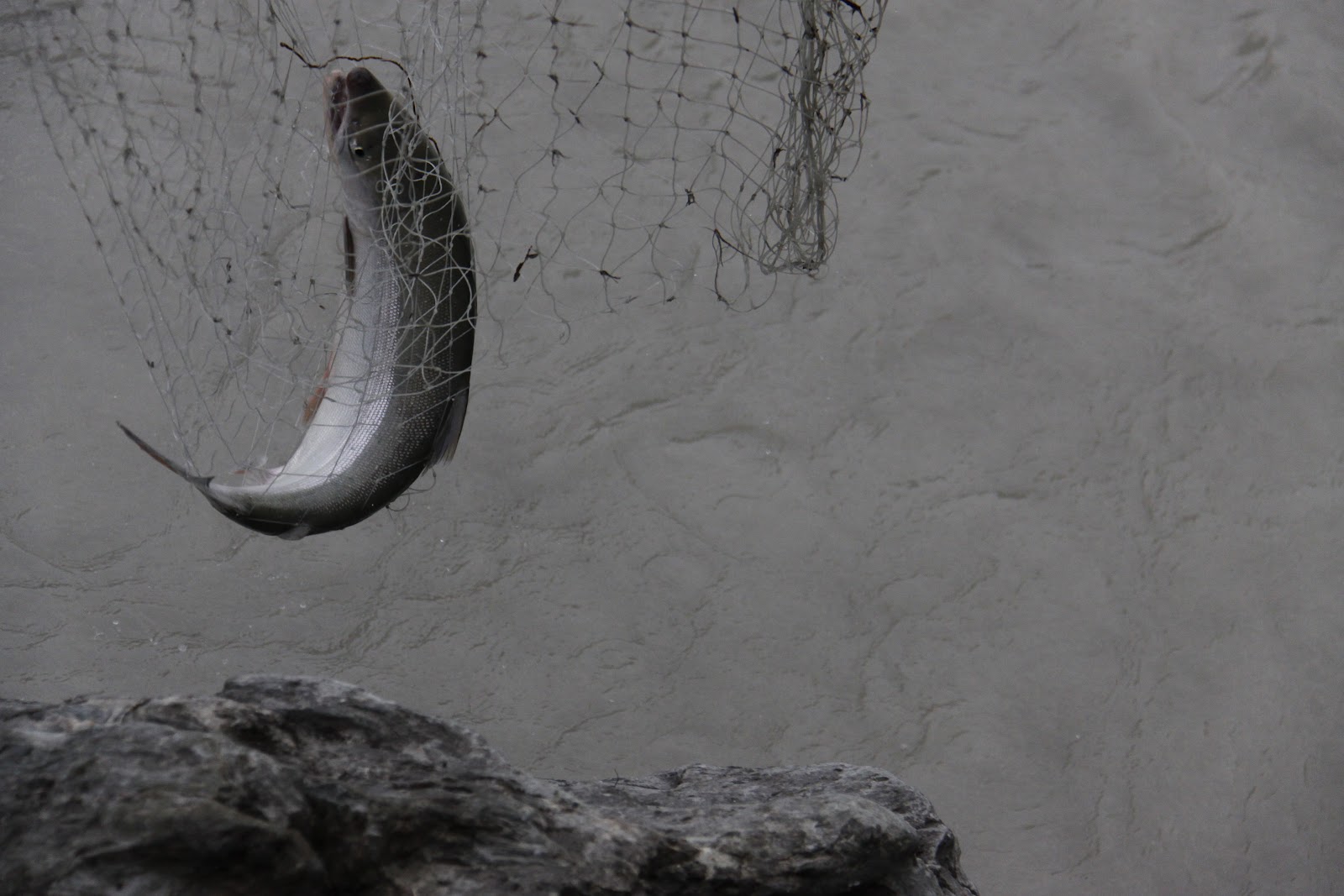 MissCellaneous: Busy Busy Bee