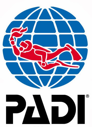 LOGO PADI | Gambar Logo