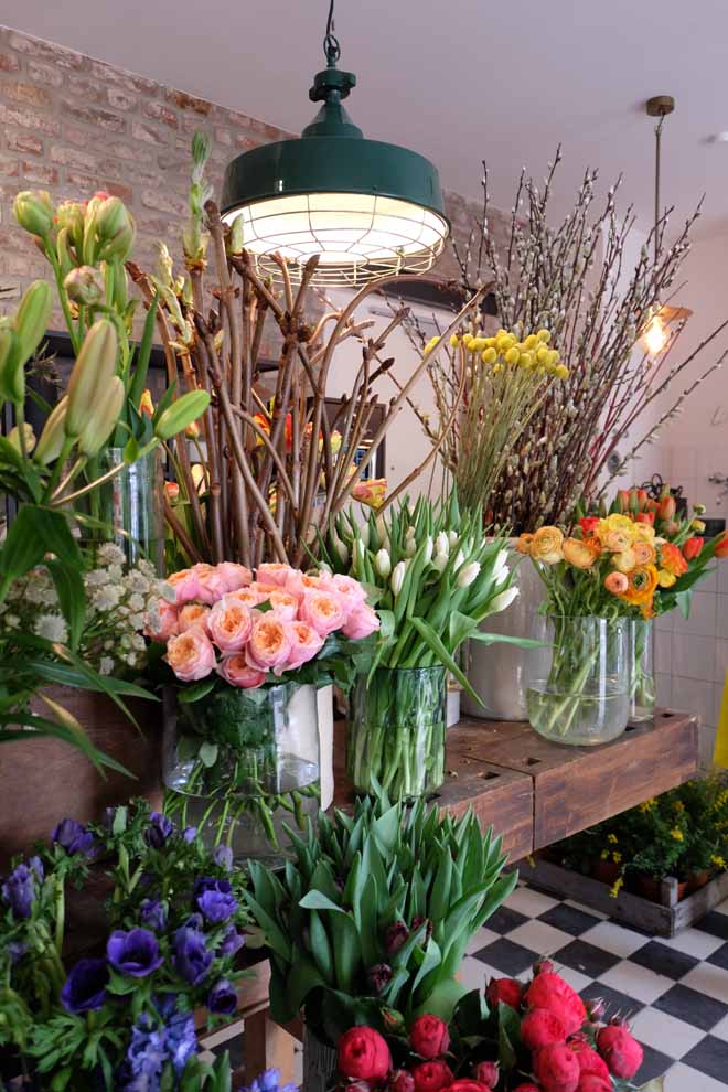 Goldregen in Köln / Ein neuer besonderer Blumenladen Floraldesign, Blumenladen, Goldregen, Belgisches Viertel, Köln, Eukalyptus, Trommelstock, Luftpflanzen, Öko, Nachhaltigkeit, Hochzeit, Verleih, Blumen, Pflanzen, Fair Trade, Lieblingsladen