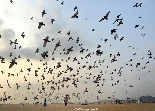 7 PRIZE WINNERS IN THE KIND MADRAS PHOTOGRAPHY CONTEST 7 PRIZE WINNERS IN THE KIND MADRAS PHOTOGRAPHY CONTEST