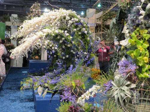 Philadelphia Flower Show 2020- Mare Nostrum The Wave