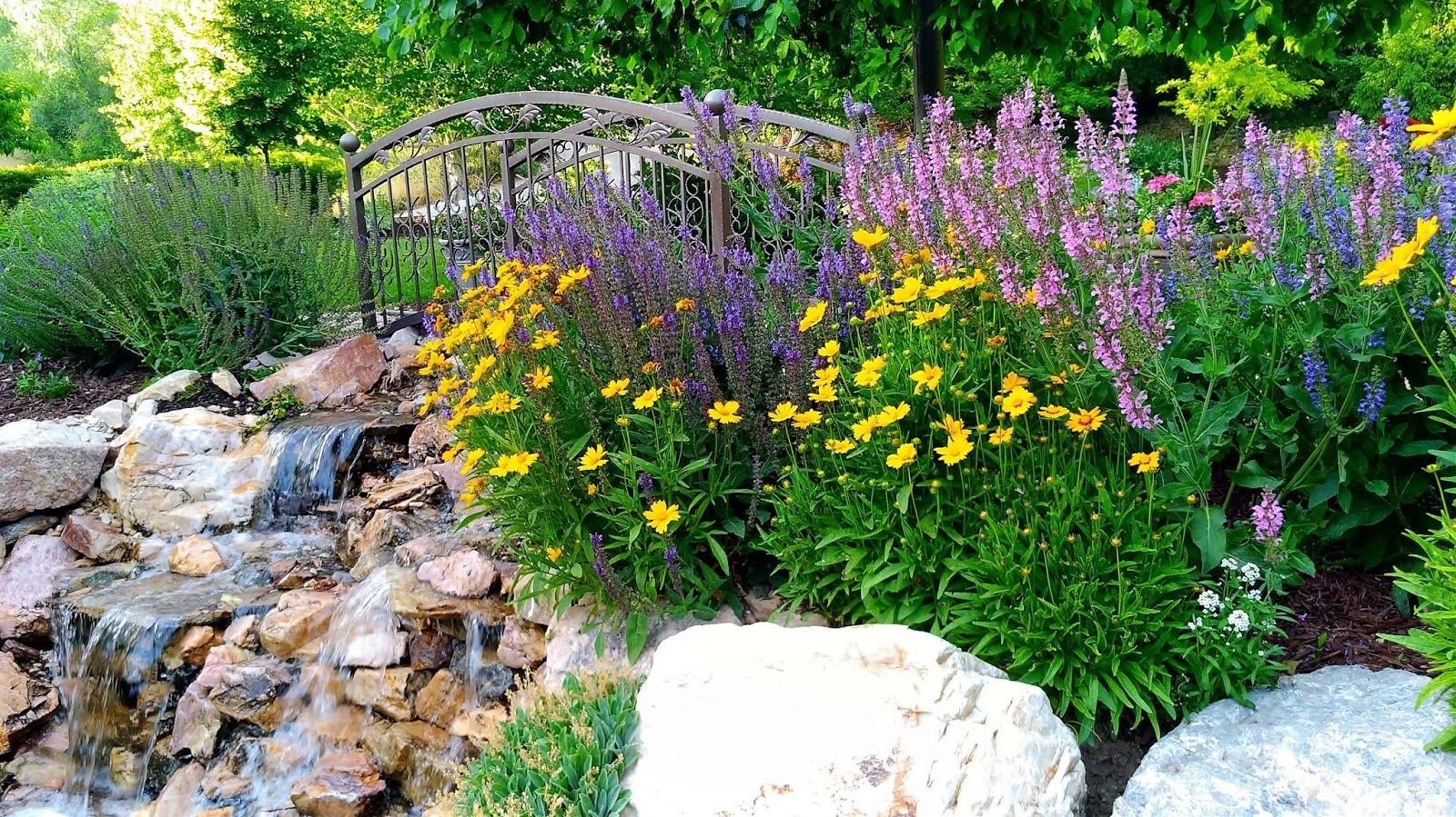 Saratoga Blooms Landscape Design