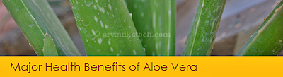Aloe Vera, Health Benefits, Major,