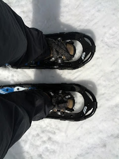 My feet strapped into snowshoes.