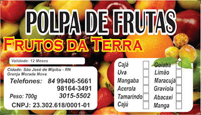 POLPAS DE FRUTAS FRUTOS DA TERRA 100% NATURAL