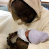 Davido Welcomed Second Baby With His Second Baby Mama, Amanda