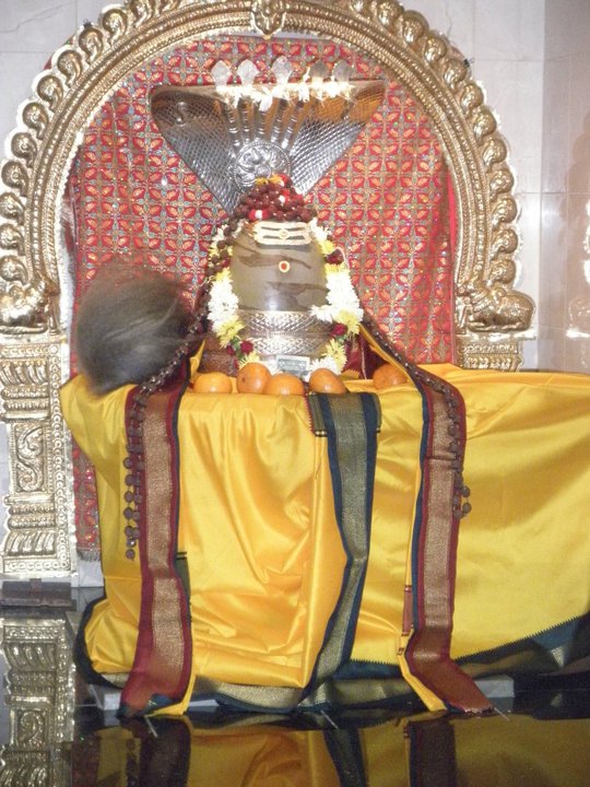 knramesh Thiruvathirai Festival