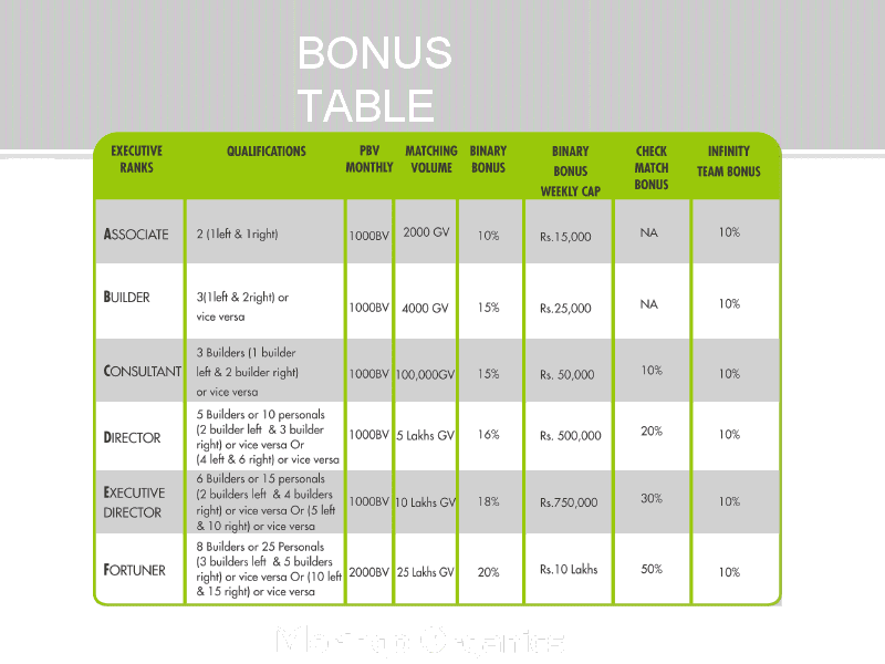 moringo organics business plan moringo result