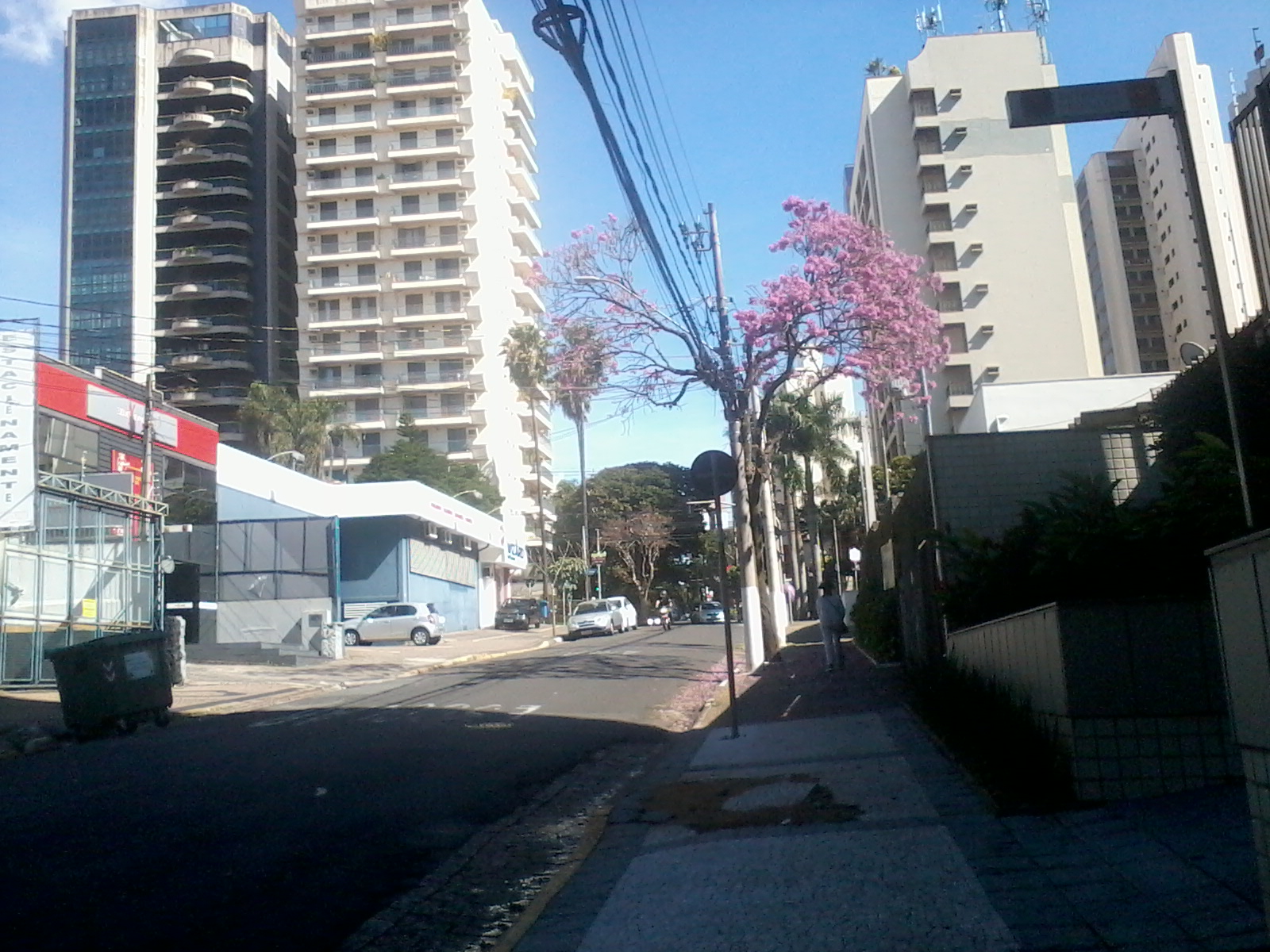 Campinas, meu amor RUA BARRETO LEME Quem foi Barreto Leme? Campinas, meu amor RUA BARRETO LEME Quem foi Barreto Leme?