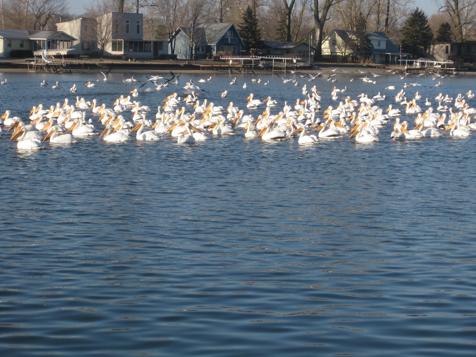 The Briggs Family Birthday Celebration at Lake Waconda