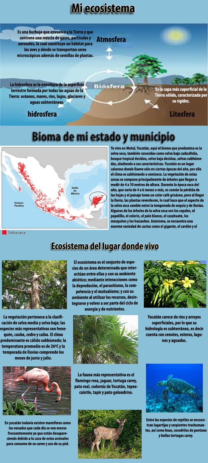 Blog Prepa En Linea Sep Modulo 15 Semana 2 Mi Ecosistema