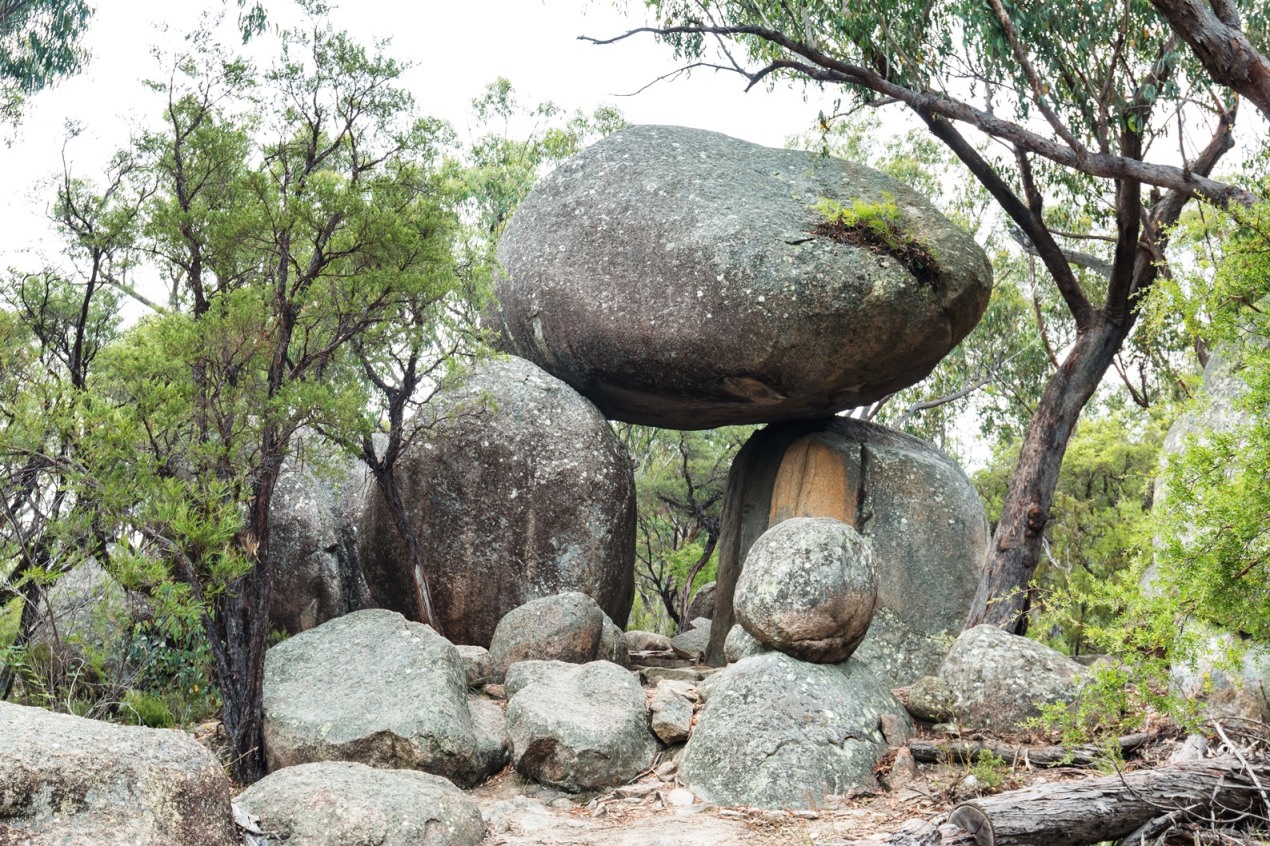 National Park Odyssey Girraween National Park and Bald Rock Creek