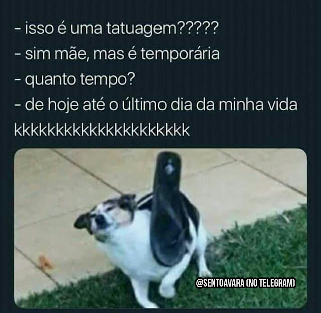 Memes engraçados Memes engraçados