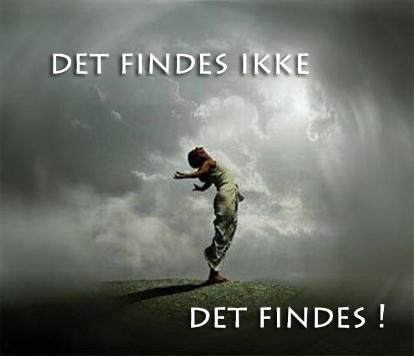 Billede