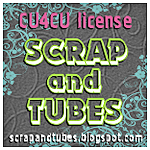 Scrap and Tubes License