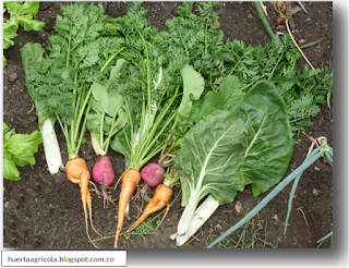 Seguridad alimentaria