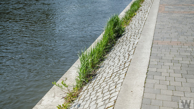 Bieżące utrzymanie bulwarów nad Brdą w Bydgoszczy