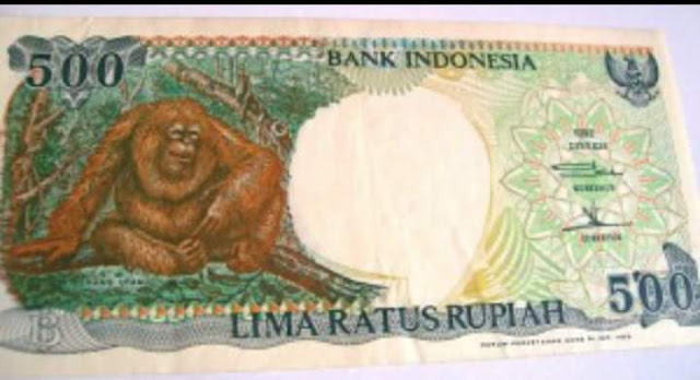 uang kertas 500 rupiah monyet uang kertas 500 rupiah monyet