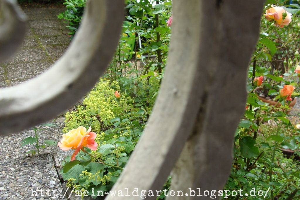 carport verkleiden holz dübel für ziegel