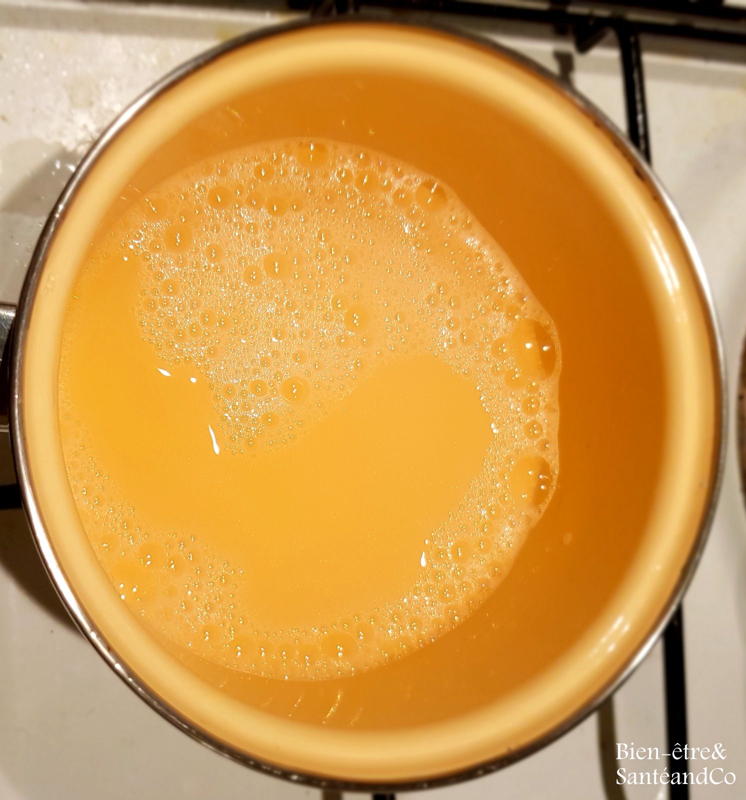 Shampoing naturel au savon de Marseille Fabrication maison