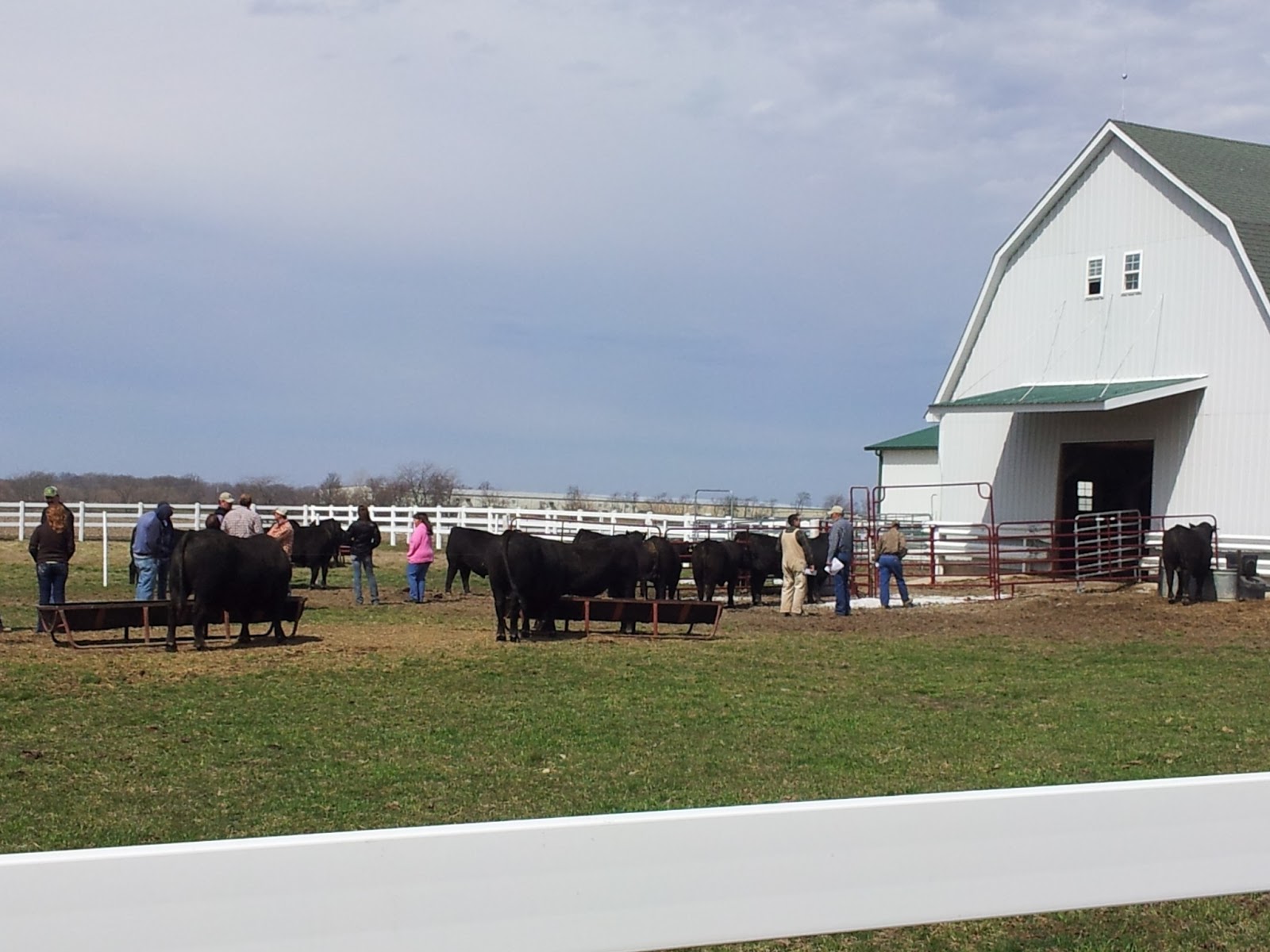 Meyer Cattle Company