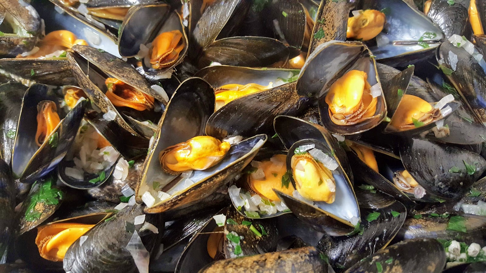 Combien De Moules D espagne Dans 1 Kg Moules marinière