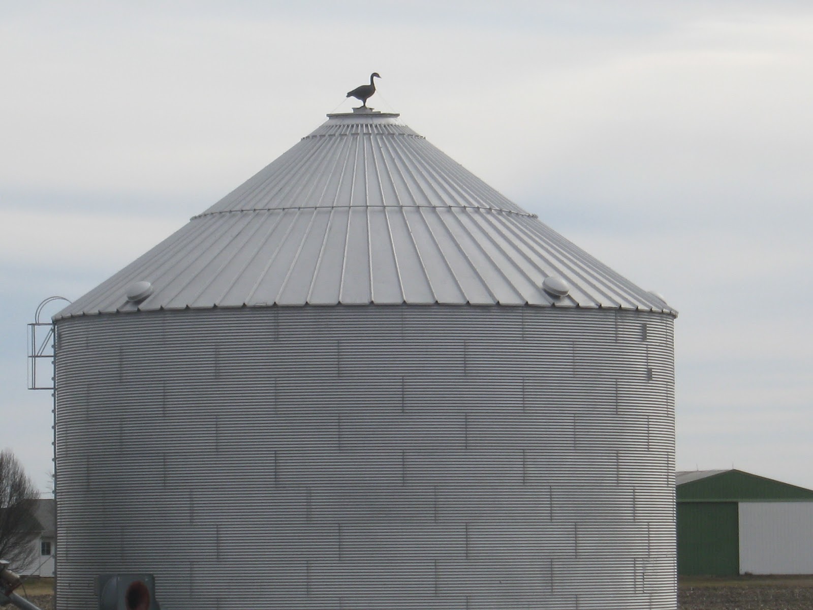 Observations in Agriculture Scenic Grain Bin