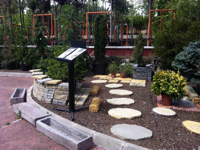 Descubriendo hojas: De visita por viveros