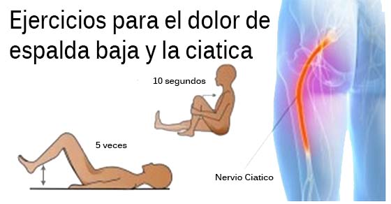 Los ejercicios en sheynye los departamentos de la columna vertebral