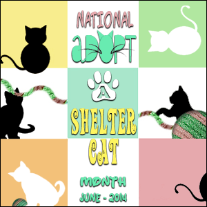 Adopt-a-Shelter-Cat