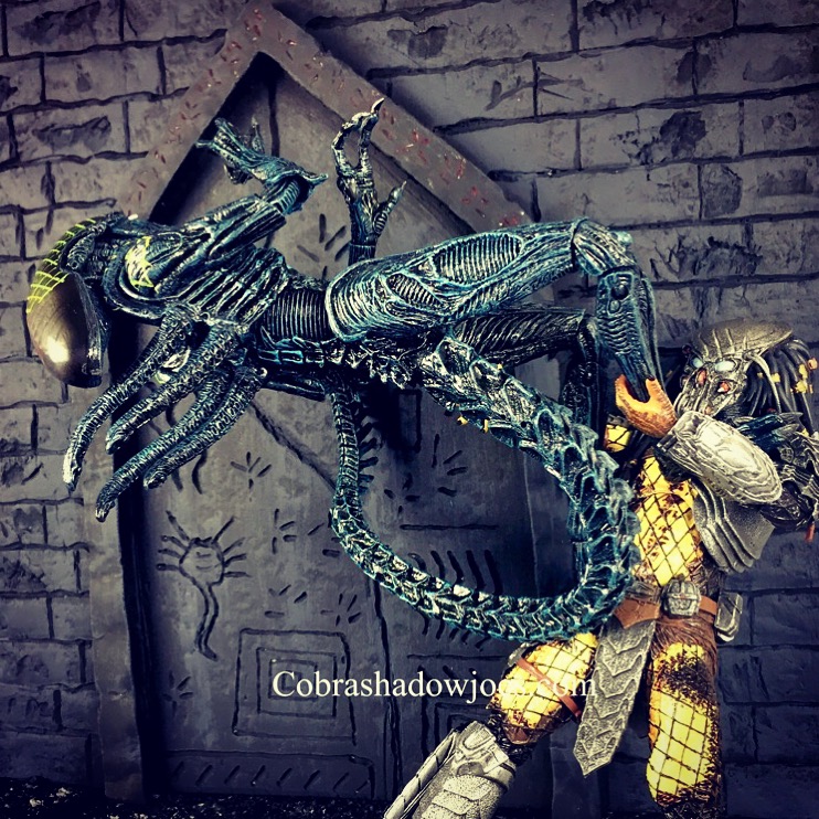 CobraShadowJoes: NECA TOYS Toys R Us Exclusive AVP 2-Pack