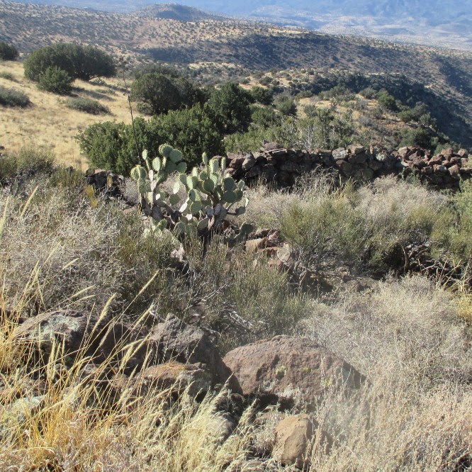 141129 - Indian Ruin at Black Mountain Canyon