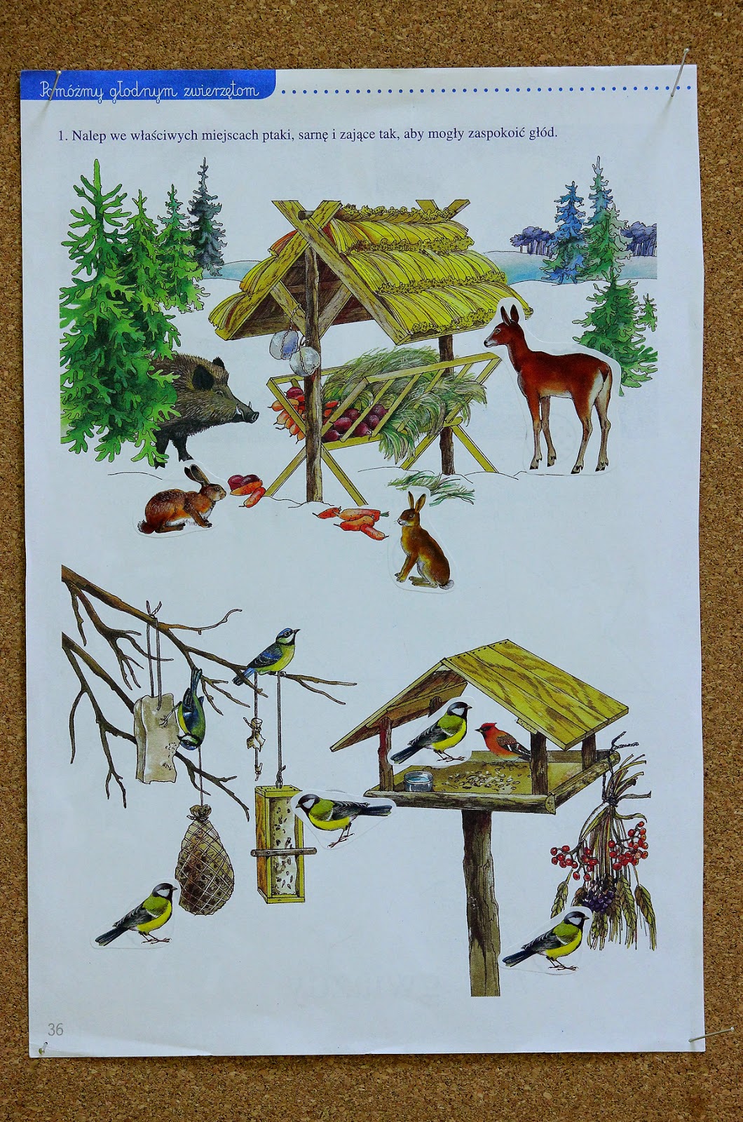 Napisz Trzy Przykłady Jak Można Pomóc Zwierzętom Przetrwać Zimę Akademia Maluchów: Pomagamy zwierzętom przetrwać zimę