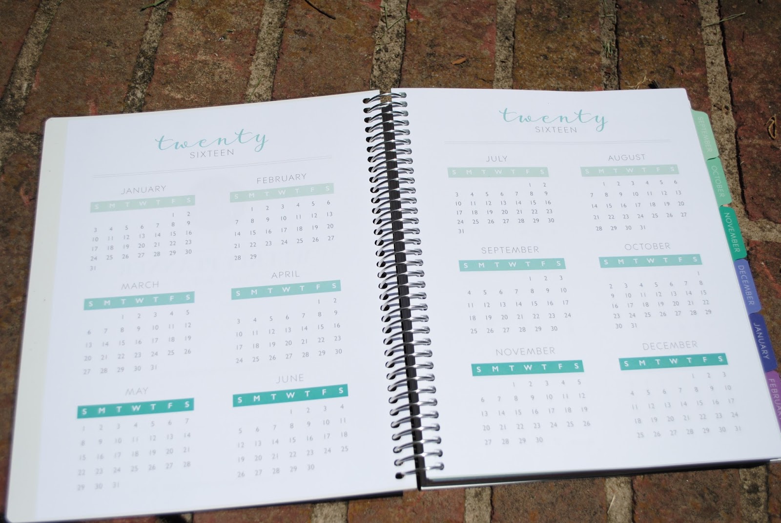 The Kroh's Nest Plum Paper Review (and coupon code!)