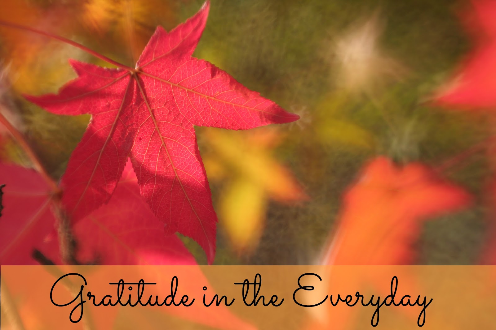 in fact i am grateful that i m alive and i m filled with gratitude for all of the wonderful amazing loving and caring individuals who are a part of my in fact i am grateful that i m alive and i m filled with gratitude for all of the wonderful amazing loving and caring individuals who are a part of my
