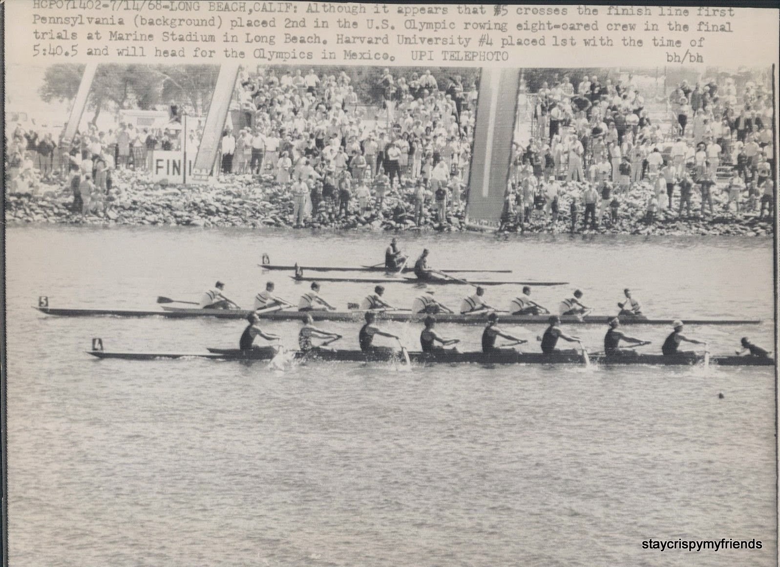 Vintage Harvard Rowing Crew Crispymyfriends