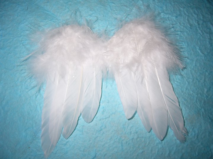Little Orso: Angel Wings Memorial Boutique