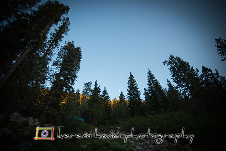 The rising moon is tiny in the middle of the gorgeously tall sequoias and redwoods, captured from the river bed.