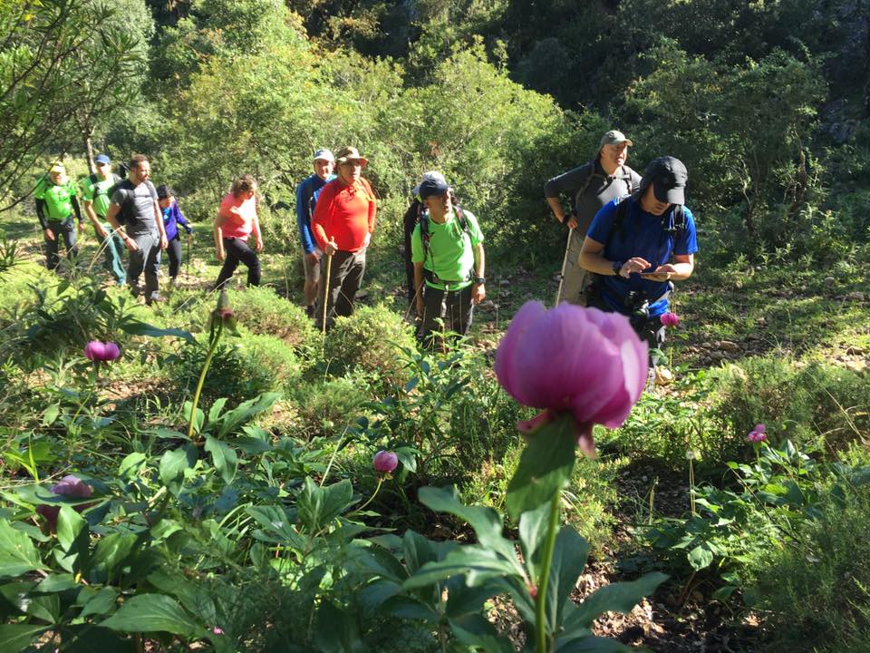 C.D. Senderismo 3 Caminos, Ubrique (Cádiz) El Bosque Benamahoma