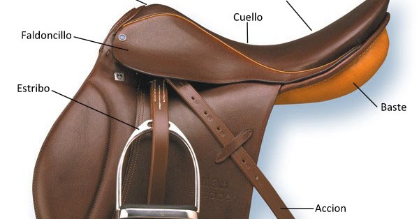 El Mundo A Caballo La Montura