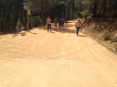 Meandro Melero, marcha al Meandro Melero, pista forestal, Cáceres, Salamanca, Río Alagón