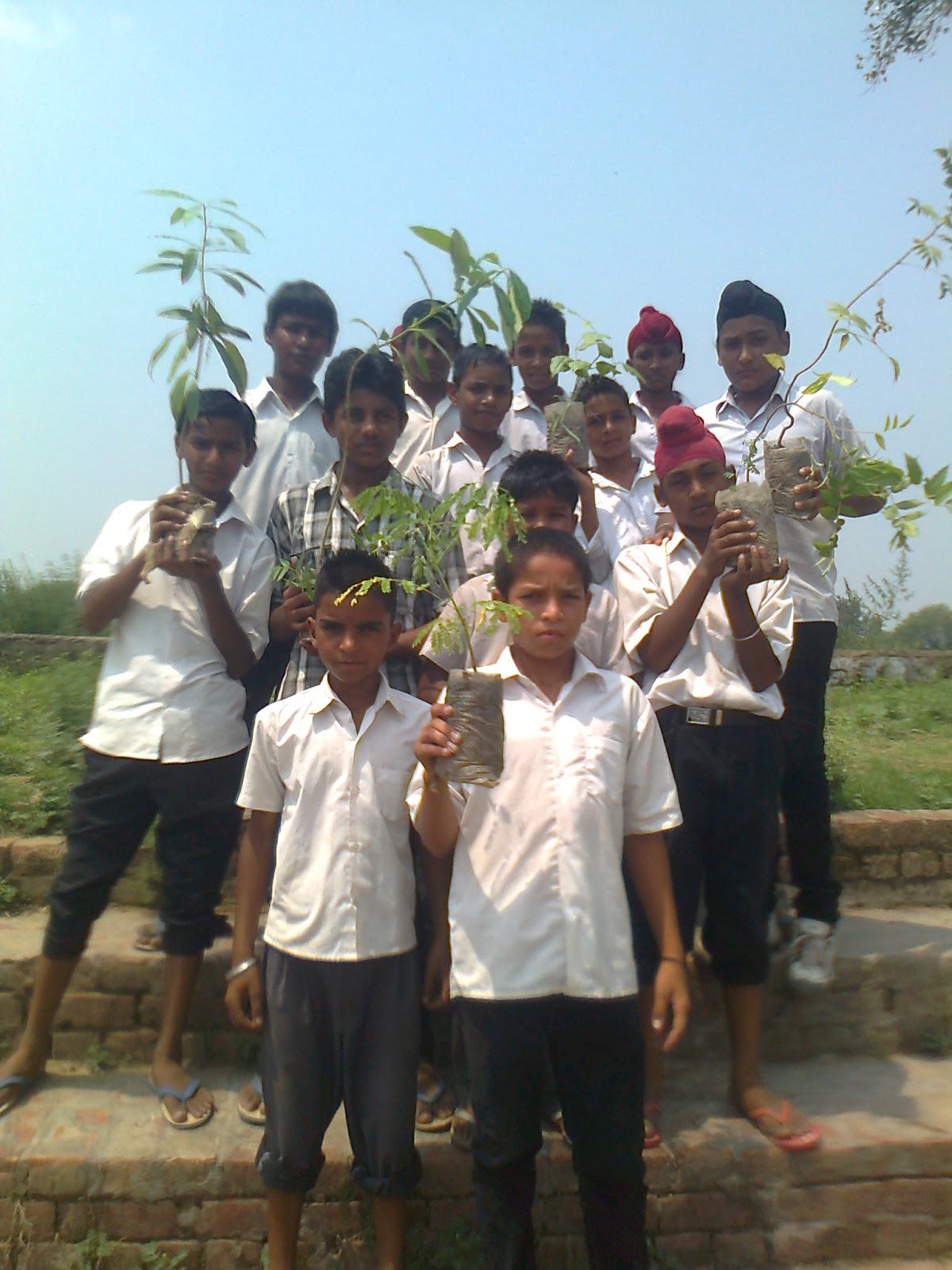 Govt High School Chunni Kalan Fatehgarh Sahib TREE PLANTATION IN SCHOOL