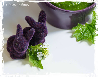 Pesto à l'alliaire officinale © Popote et Nature
