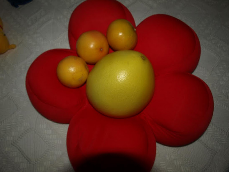 Viajar En Mi Nube Particular II Pomelo de China