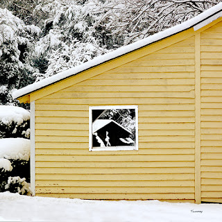 Catherine Twomey, Wakefield Farm Plantation