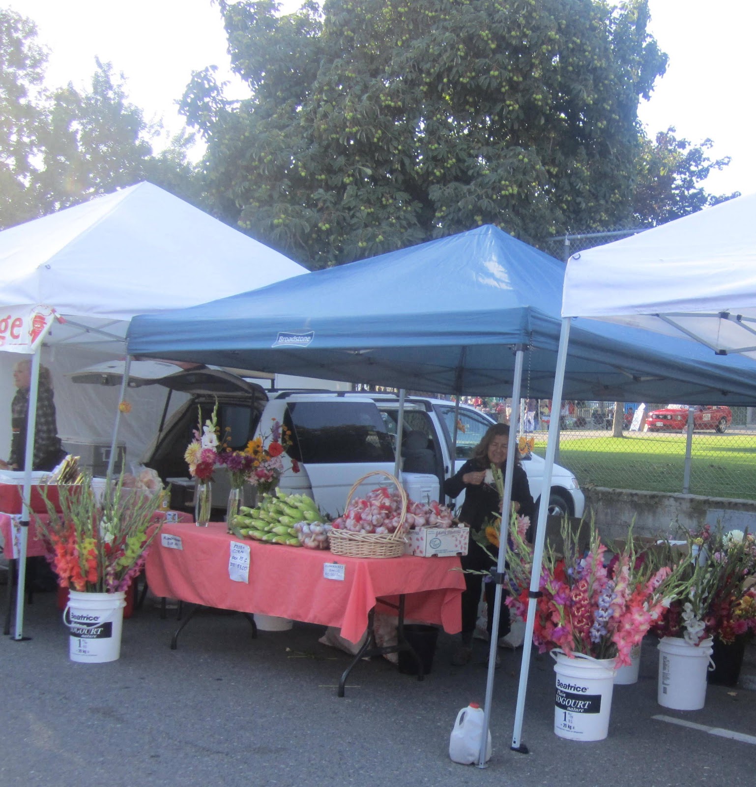 Smith and Ewe, fibre dyer and handspinner Smith and Ewe at Kamloops