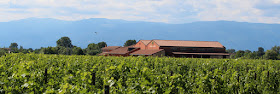 Terre di Ger winery in Frattina