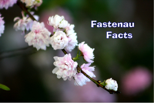Fastenau Facts